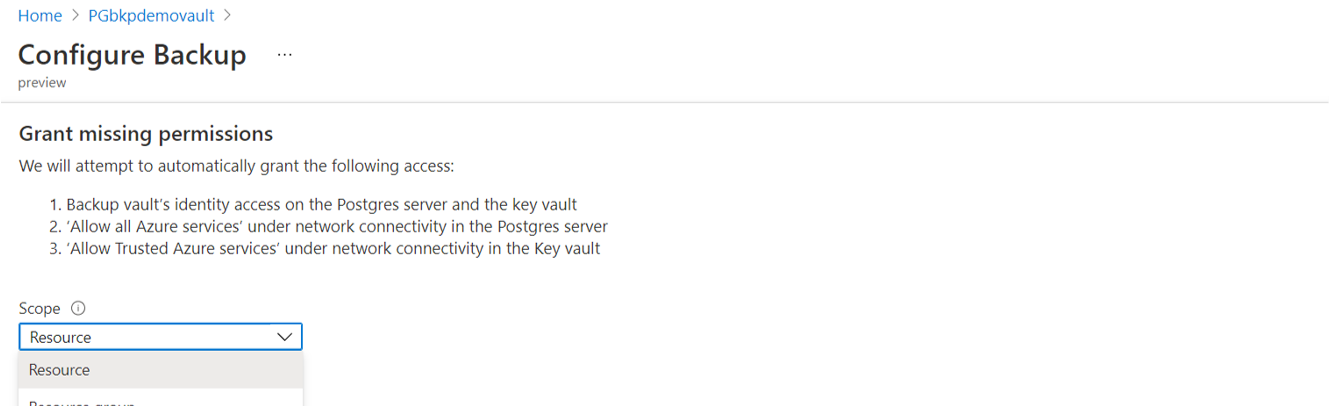 Screenshot that shows the box for defining the scope of access permissions.