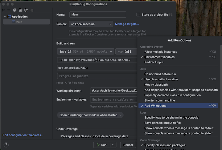 Add VM options