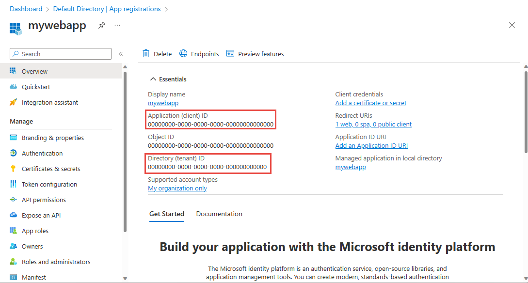 Screenshot showing the App registration page showing the Application ID and Tenant ID.