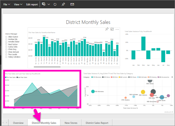 Screenshot showing the District Monthly Sales report page.