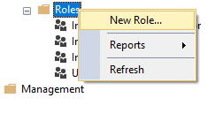 Snímka obrazovky znázorňujúca vytvorenie novej roly na serveri Analysis Services.
