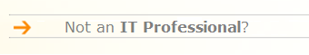 Not an IT Professional?