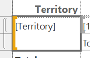 Screenshot of the Territory field in the Report Builder report.