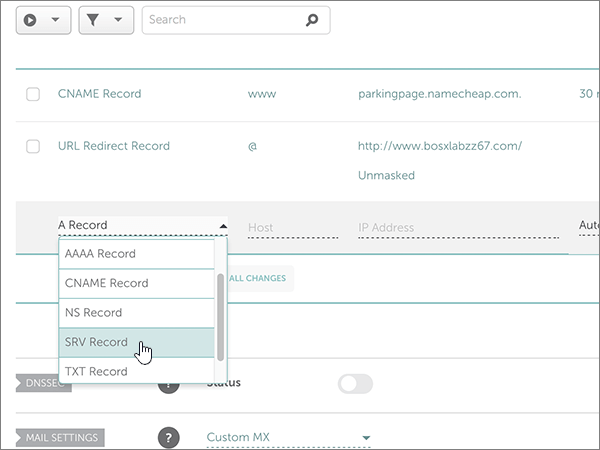 Select the SRV Record type.