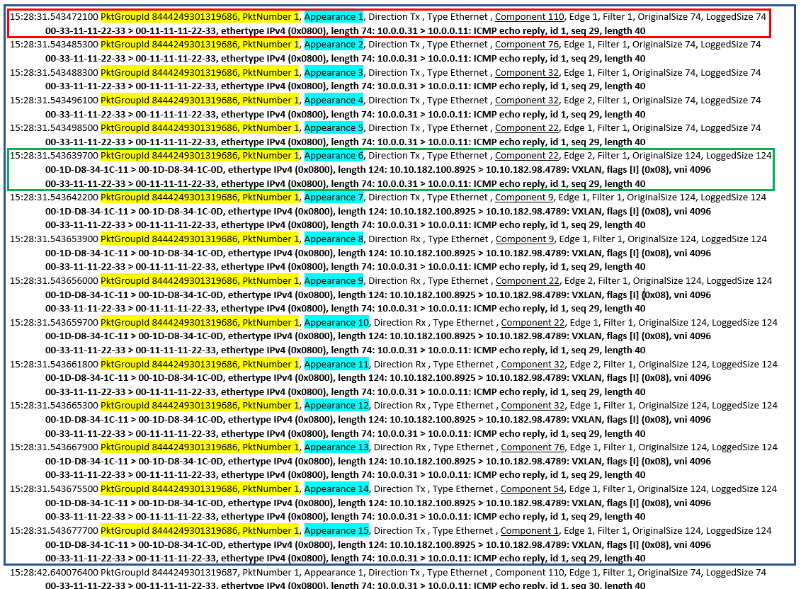 Example of Packet Monitor's txt log output