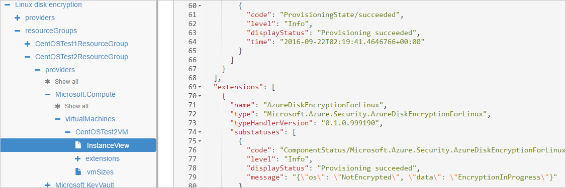 VM Instance View