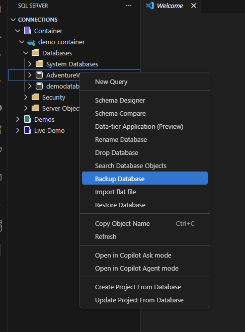 Screenshot of the Backup Database option in the Object Explorer context menu.