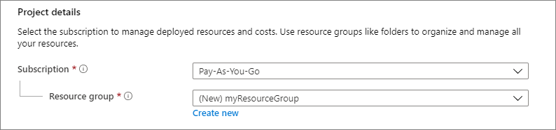 Skärmbild av avsnittet Projektinformation som visar var du väljer Azure-prenumerationen och resursgruppen för den virtuella datorn