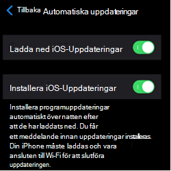 Skärmbild som visar inställningar för automatisk uppdatering på Apple-enheter i iOS/iPadOS.