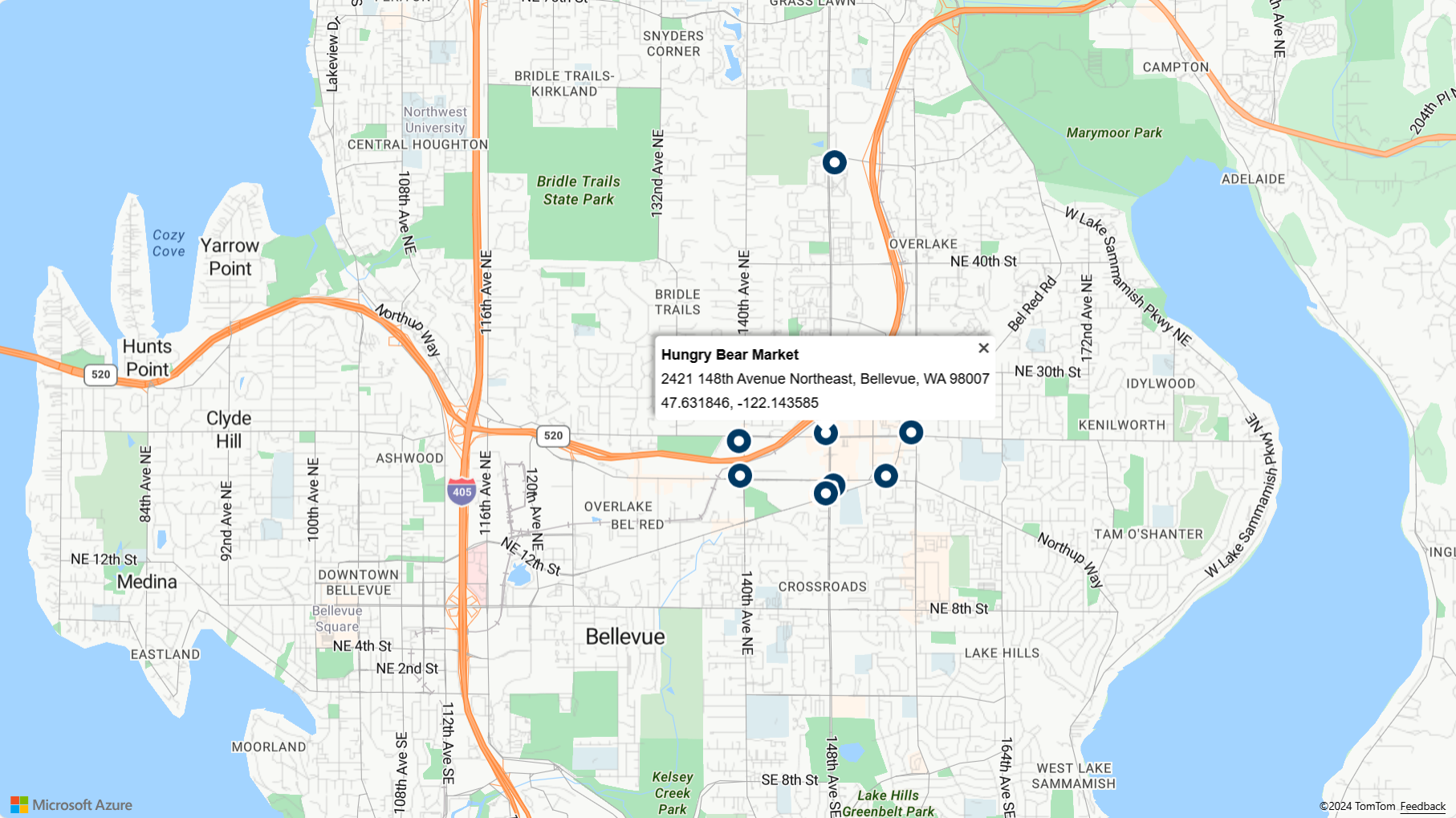 En skärmbild av en karta med informations-popup-fönster som visas när du hovrar över en sökstift.