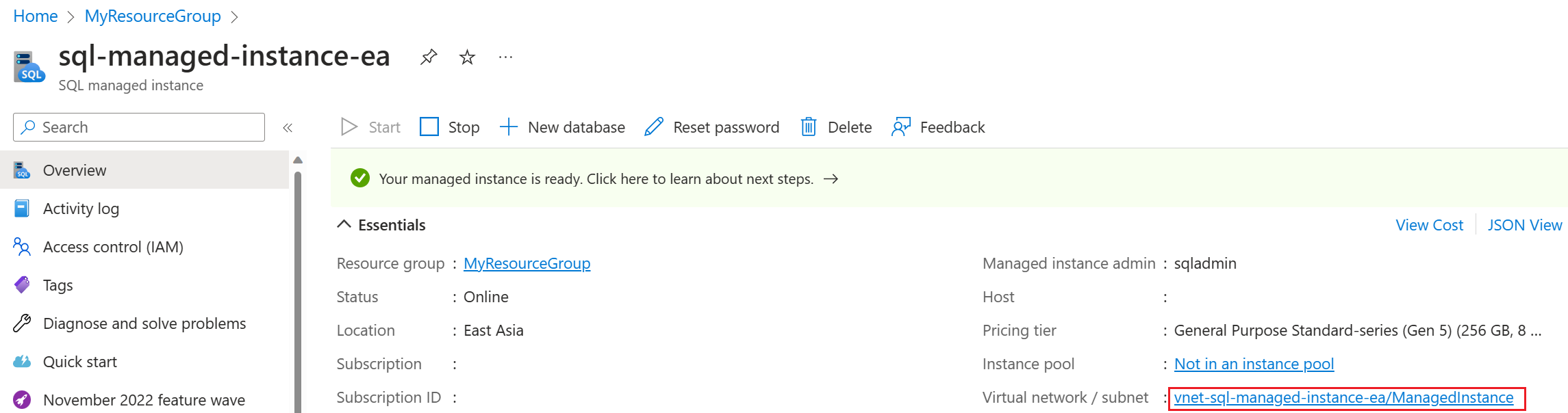 Screenshot of the SQL managed instance Overview page of the Azure portal, with the subnet selected.