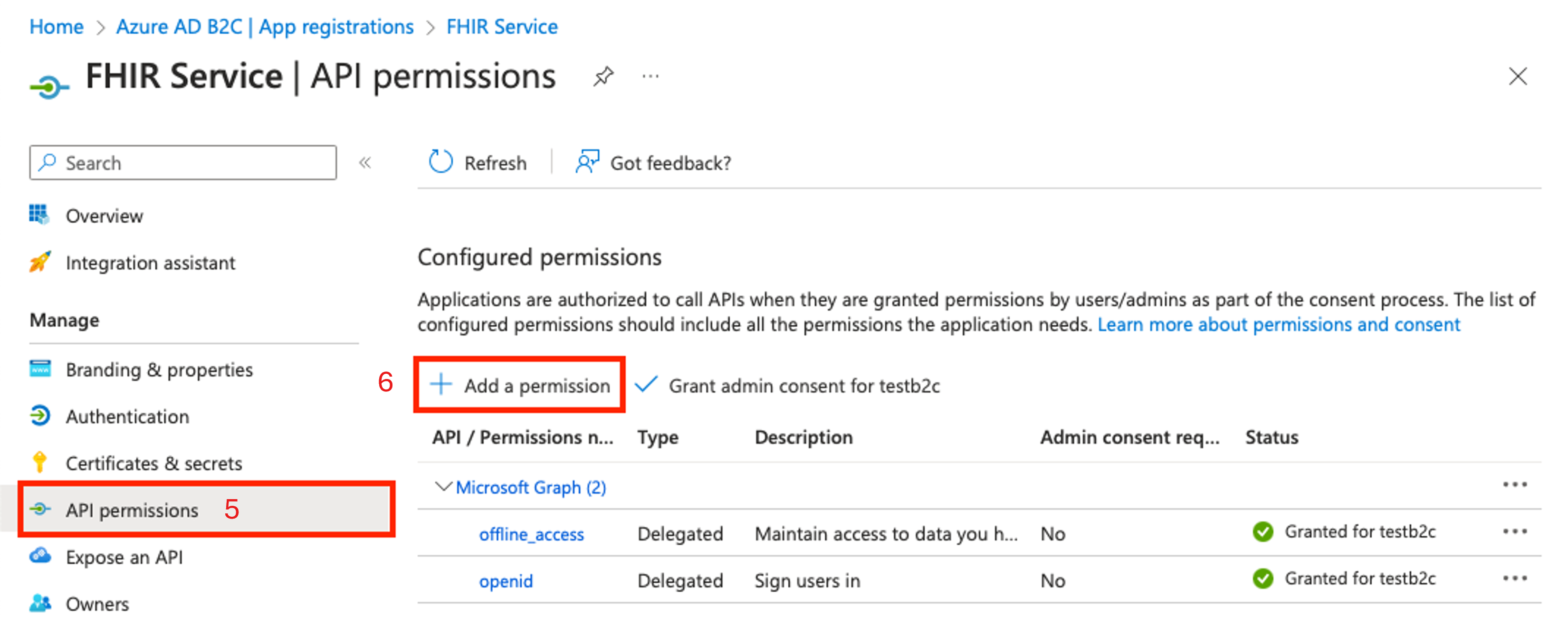 Screenshot showing B2C API permission.