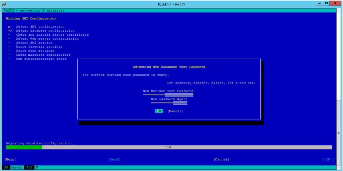 Screenshot of defining password for database.