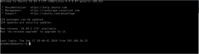 Skärmbild av ett kommandofönster för ssh-secure-go.akamai-access.com som visar information om programmet och visar en kommandotolk.
