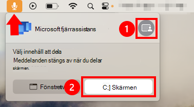 En skärmbild av dialogrutan för delning av macOS-mikrofon för att tillåta skärmdelning för Microsoft fjärrassistans