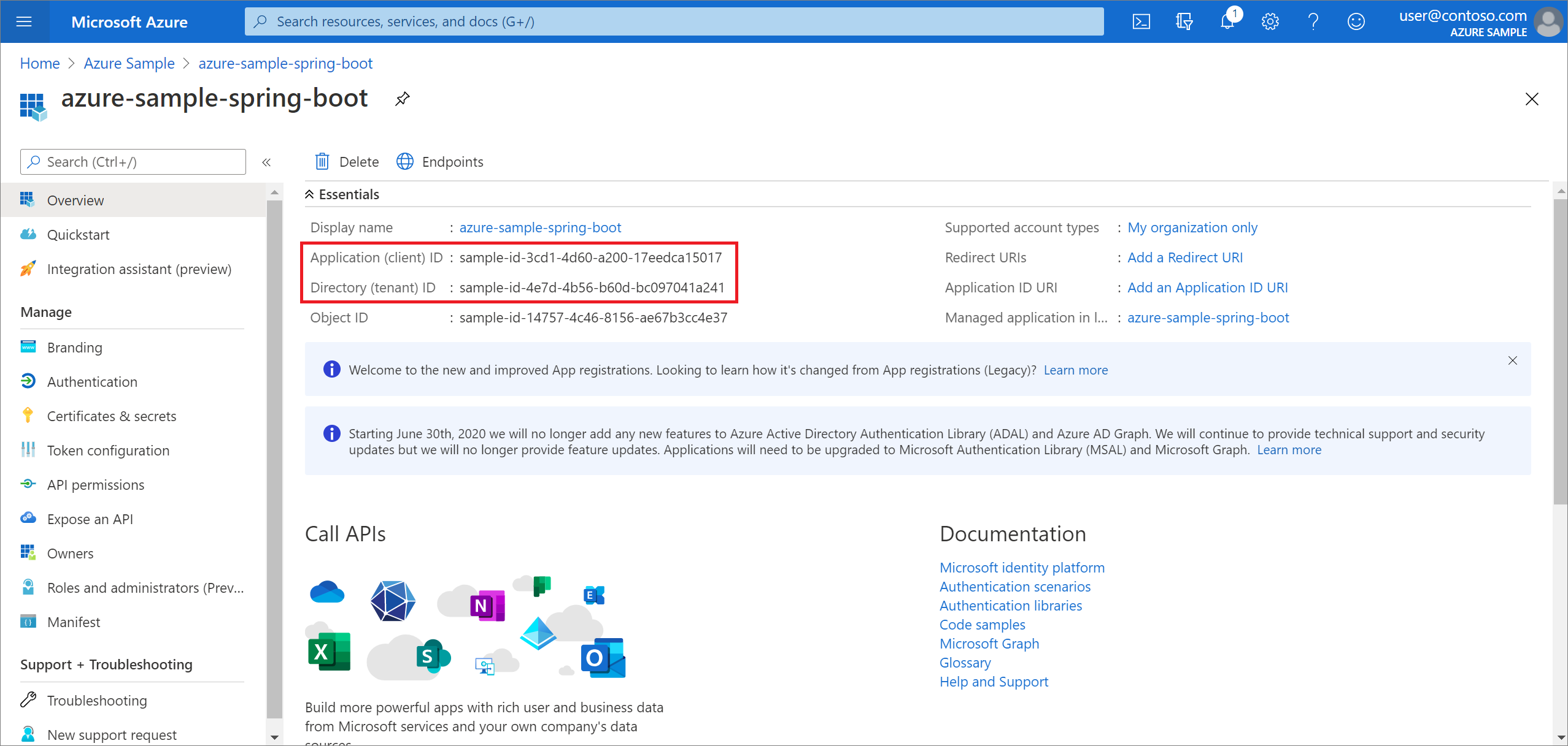 Screenshot of application with 'Application (client) ID' and 'Directory (tenant) ID' highlighted.