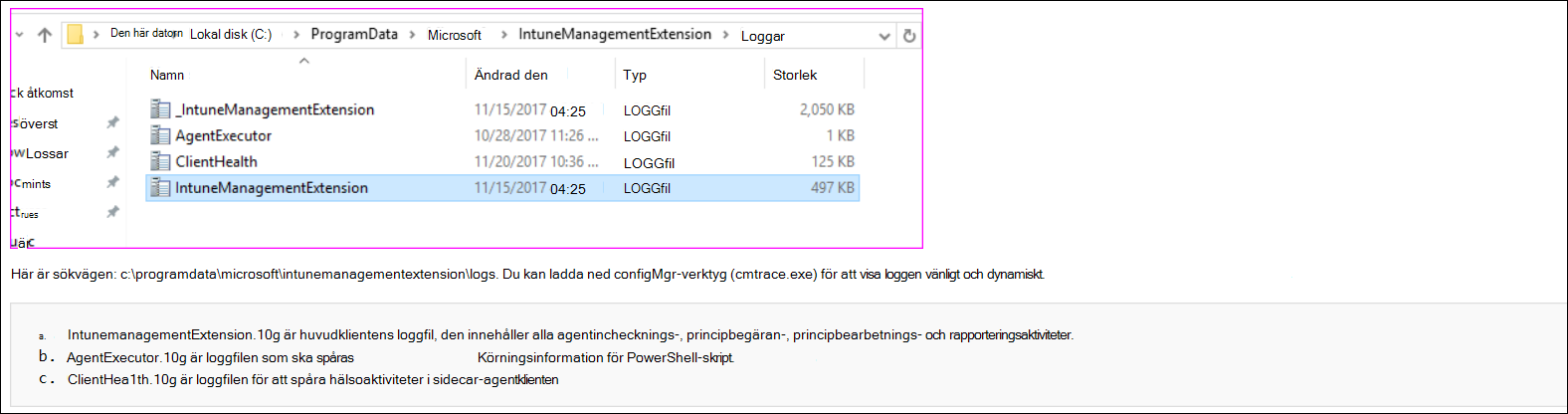 Skärmbild av agentloggarna på klientdatorn.