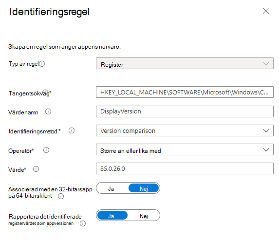 Skärmbild av registeridentifieringsregeln.