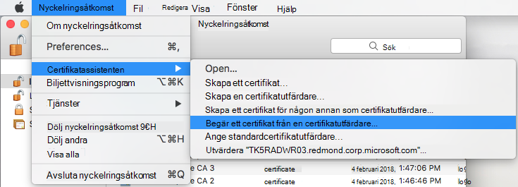 Begära ett certifikat från en certifikatutfärdare i nyckelringsåtkomst