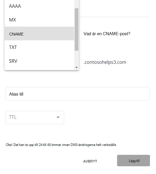 Välj CNAME-typ i listrutan.