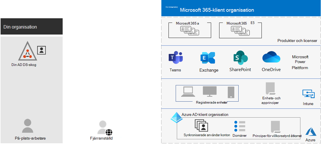 Ett exempel på en Microsoft 365-klientorganisation.