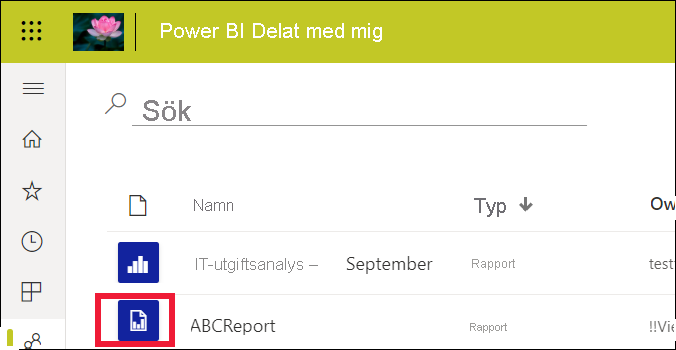 Screenshot showing the report list with one standard report and one paginated report.