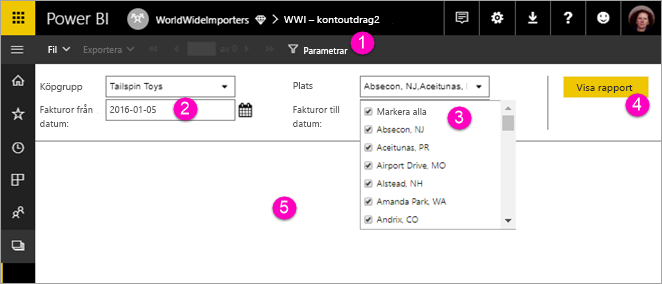 Screenshot showing View paginated report with parameters.