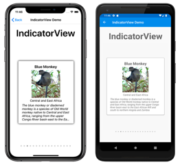 IndicatorView Example