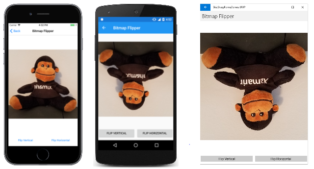 Bitmap Flipper Bitmap Flipper