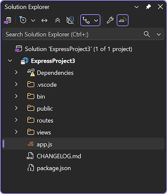 Skärmbild av det nya projektet öppnas i Prieskumník riešení i Visual Studio.