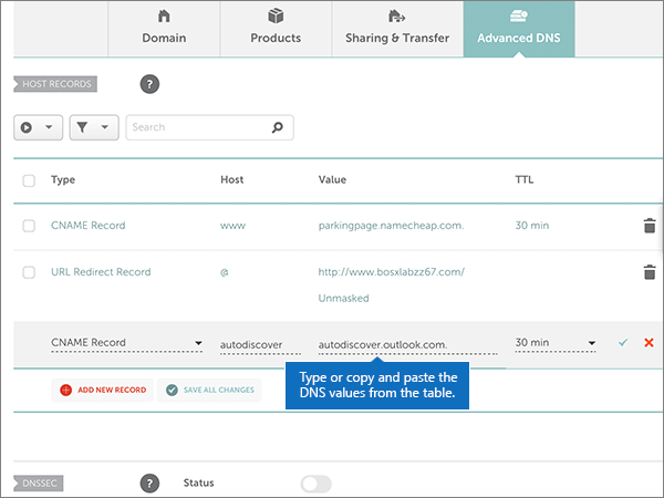 Copy and paste the values from the table for the CNAME record.