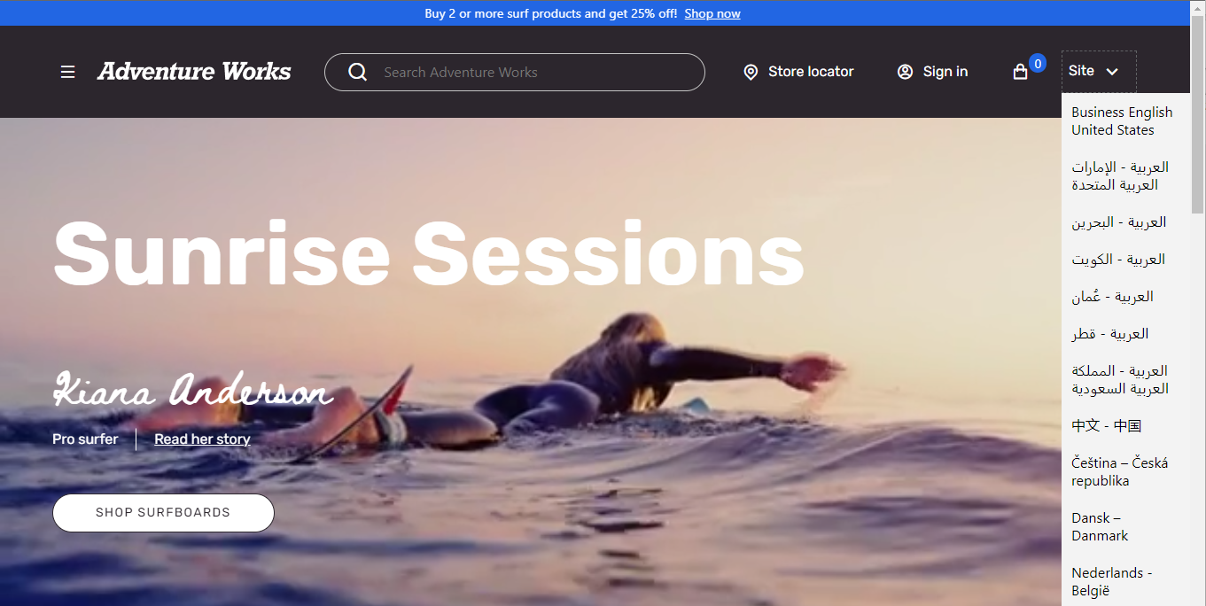 สกรีนช็อตของโมดูลตัวเลือกไซต์ในส่วนหัวของหน้าไซต์