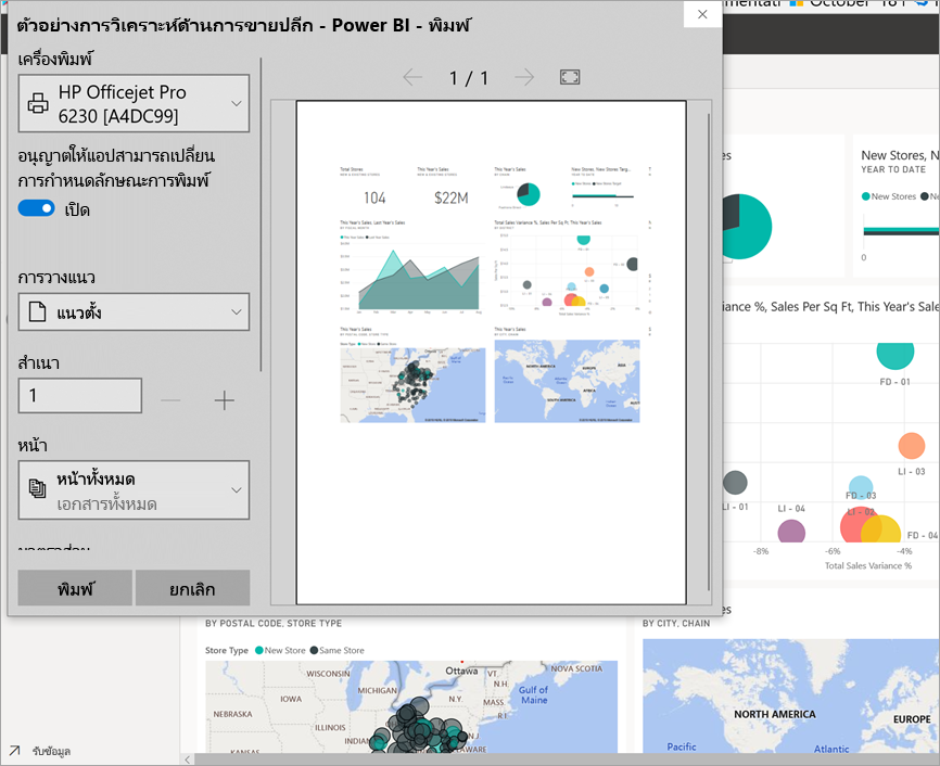 Screenshot of the Print Window open and the print options displayed.