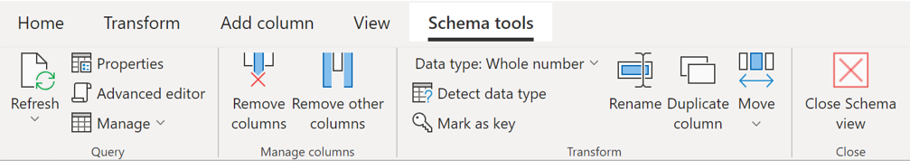 เครื่องมือ Schema เป็นแท็บบริบทในริบบอนที่พร้อมใช้งานเมื่อในมุมมอง Schema กับการแปลงระดับคอลัมน์ที่ใช้มากที่สุด