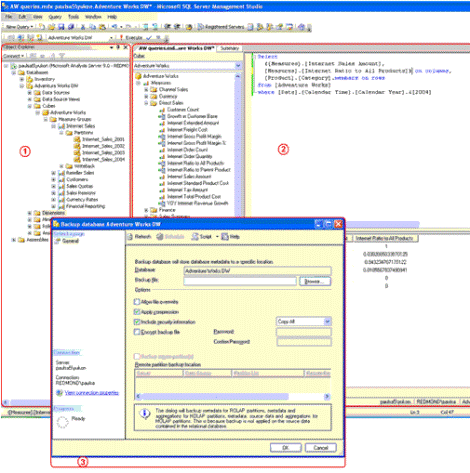 ms345127.ovasdmen06thumb(en-US,SQL.90).gif