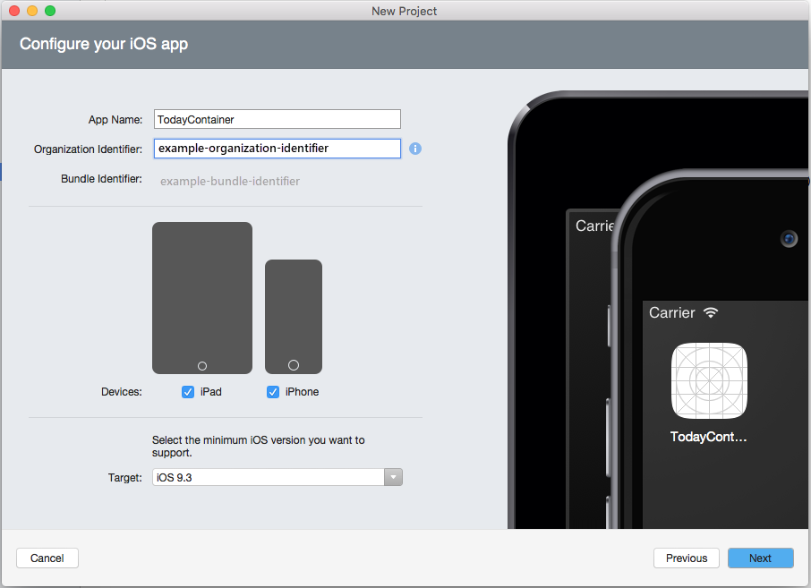 Call the project TodayContainer and click the Next button