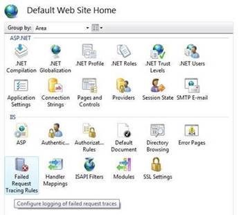 Screenshot of the Default Web Site Home.
