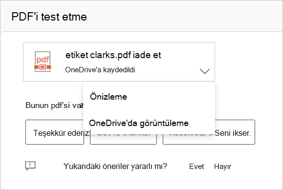 Engellenmeyen PDF önizlemesinin ekran görüntüsü.