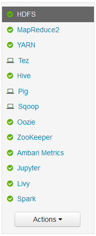 Apache Ambari hdfs hizmeti seçildi.