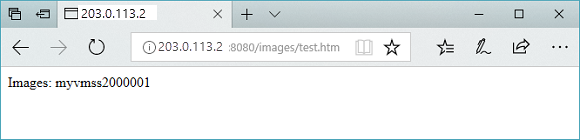 Görüntü URL’sini uygulama ağ geçidinde test etme