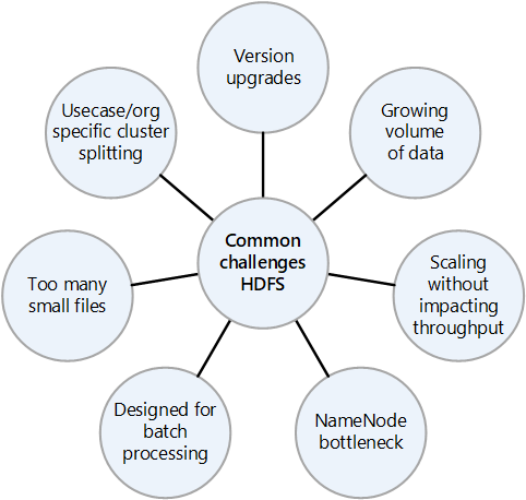HDFS'yi uygularken karşılaşılan yaygın zorlukları gösteren diyagram.