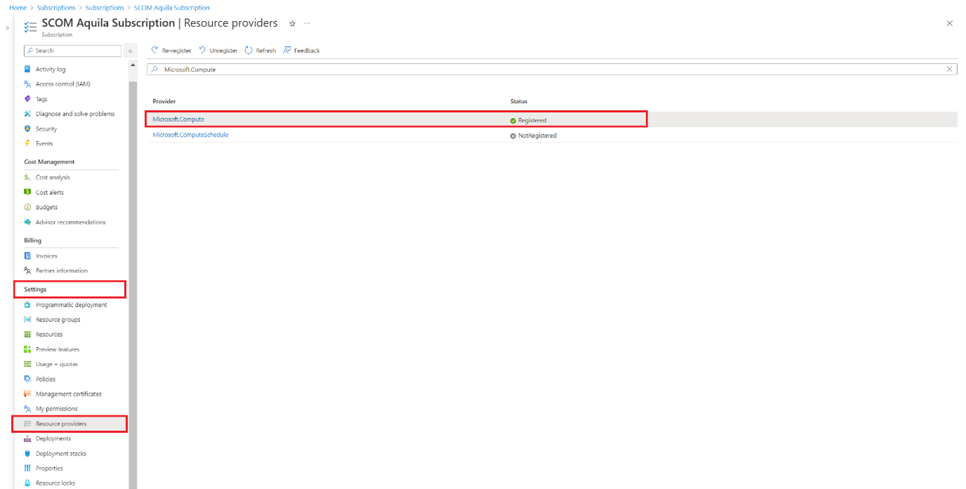 Screenshot that shows the Microsoft compute provider.