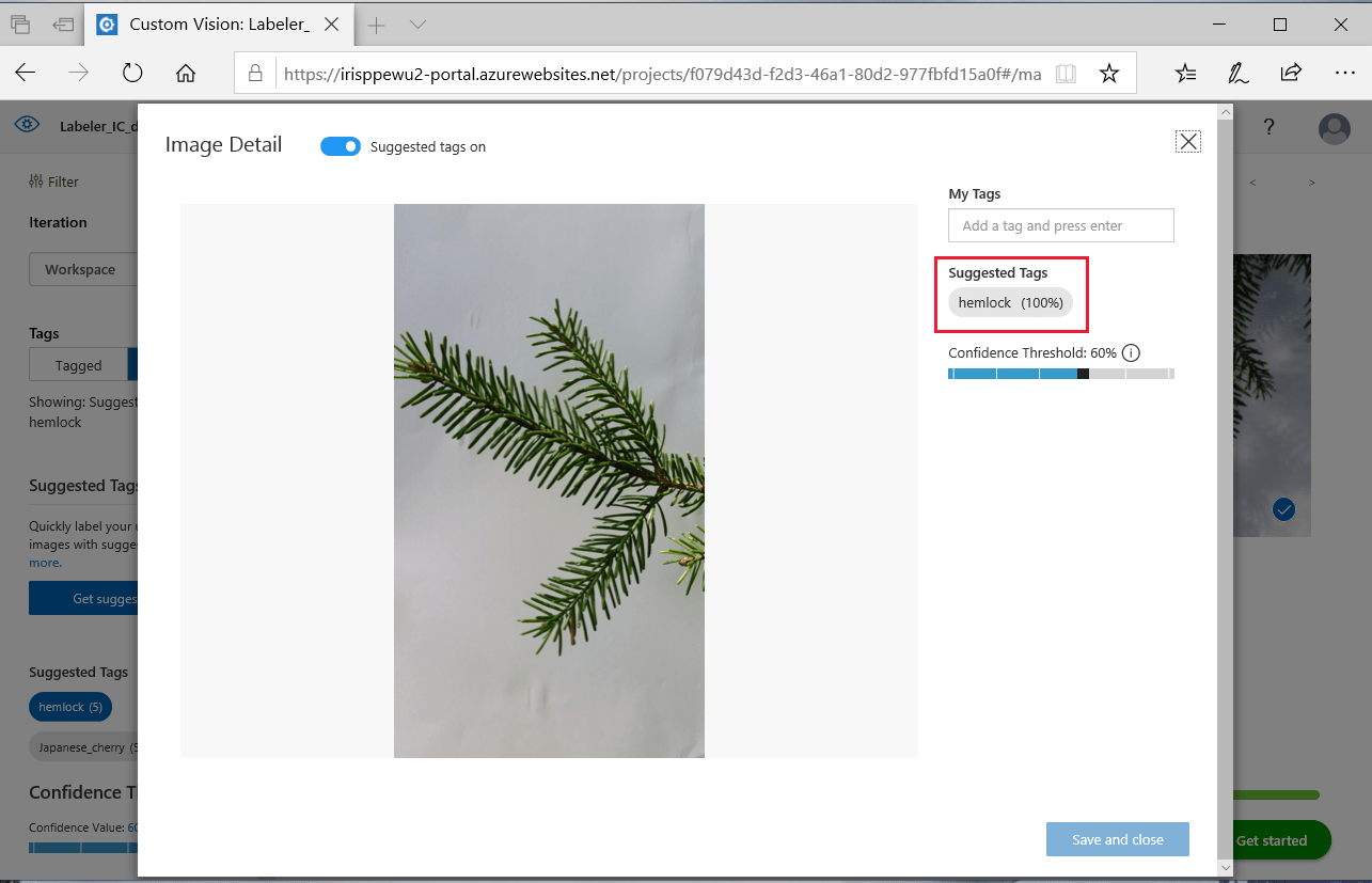 Suggested tags are displayed in individual image mode for IC.