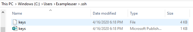 Windows Dosya Gezgini'nde anahtar çifti dosyalarının ekran görüntüsü.
