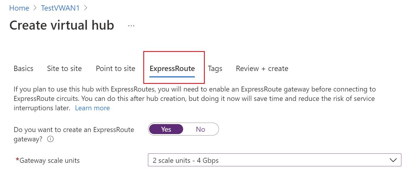 Değerleri girebileceğiniz ExpressRoute sekmesini gösteren ekran görüntüsü.