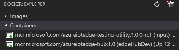 Visual Studio Code'un Docker Gezgini bölmesinde simülatör modülü durumunu gösteren ekran görüntüsü.