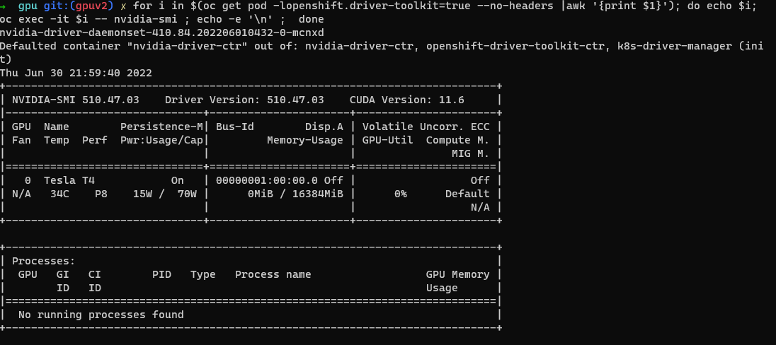 Kullanılabilir GPU'ları gösteren çıkışın ekran görüntüsü.