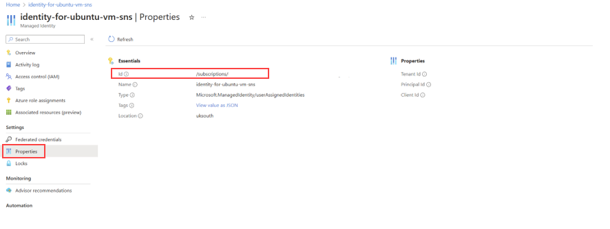 Temel Bileşenler'in altında Yönetilen Kimlik Özelliklerini ve Kimliğini gösteren ekran görüntüsü.