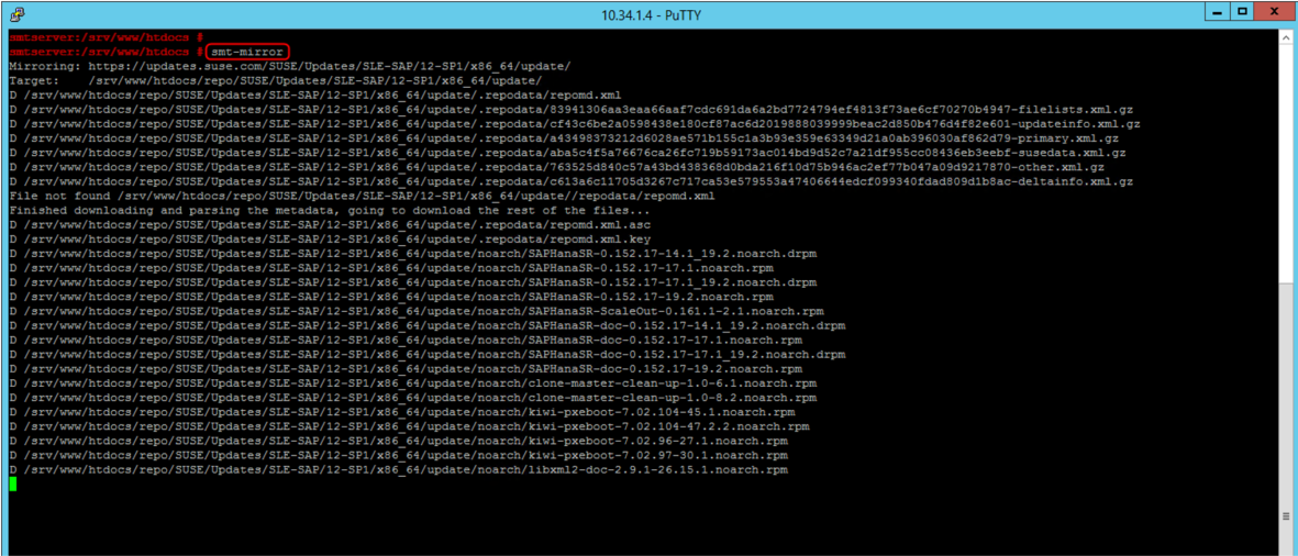 Screenshot of downloading packages to SMT server