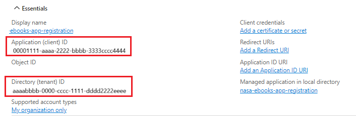 Temel Bilgiler bölümündeki Uygulama Kimliği